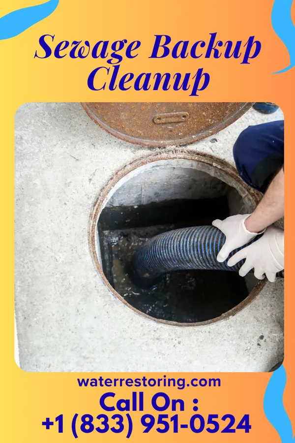 Sewage Backup Cleanup in Cheshire Village, CT