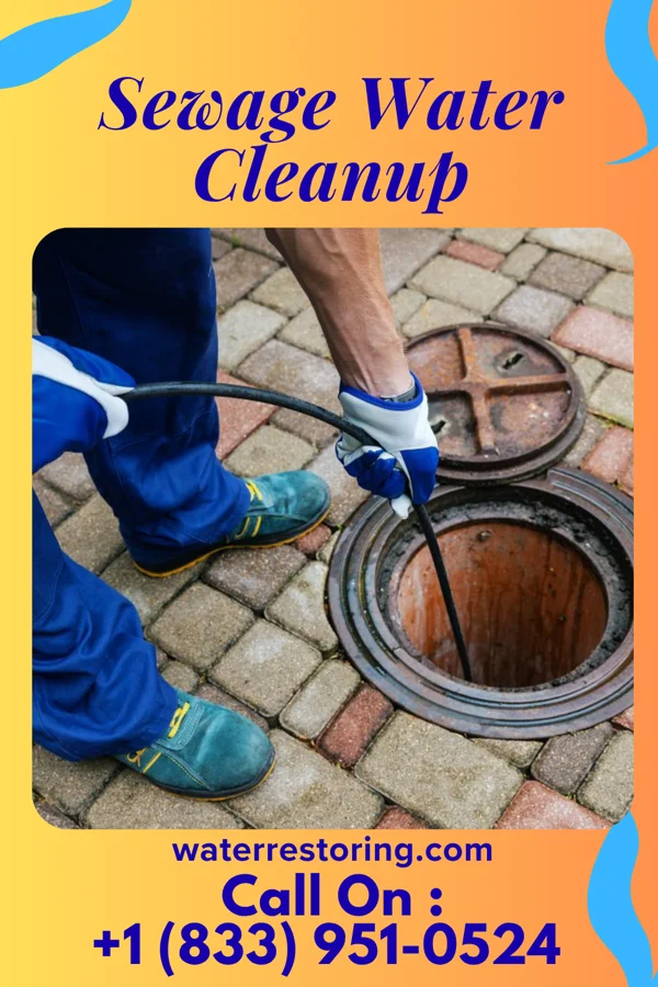 Sewage Water Cleanup in Cheshire Village, CT
